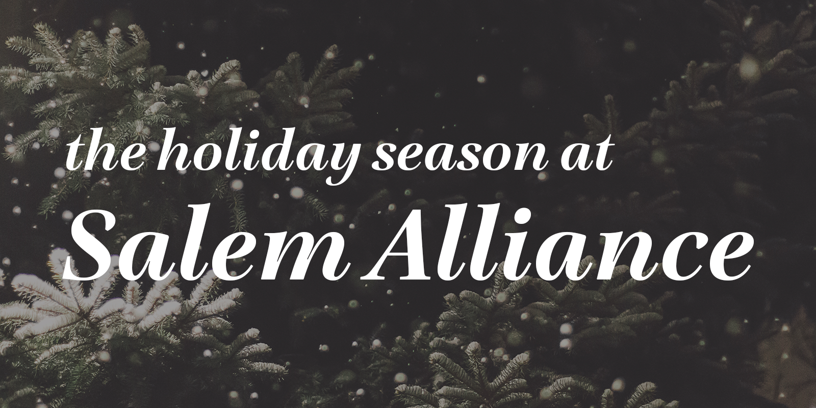 websitebanner-holiday2022-info websitebanner-holiday2022-info